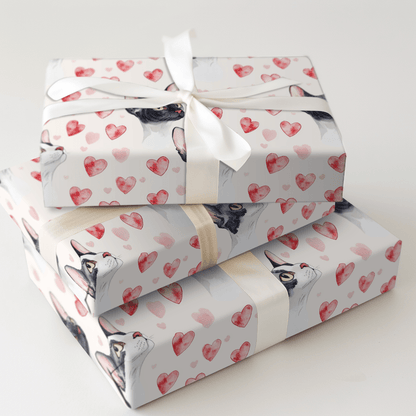 Cornish Rex Valentine - Wrapping Paper - Aspen & Arlo