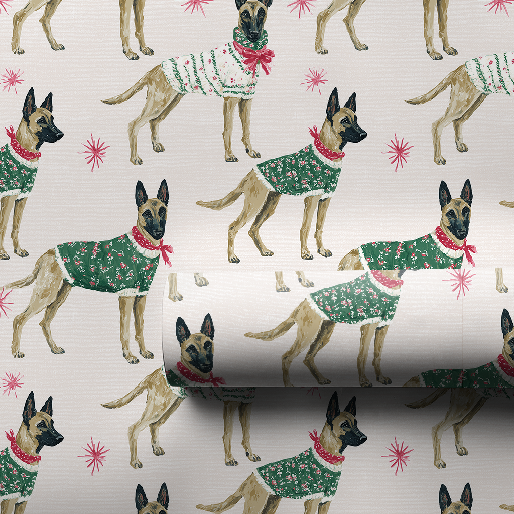 Malinois Holiday Best