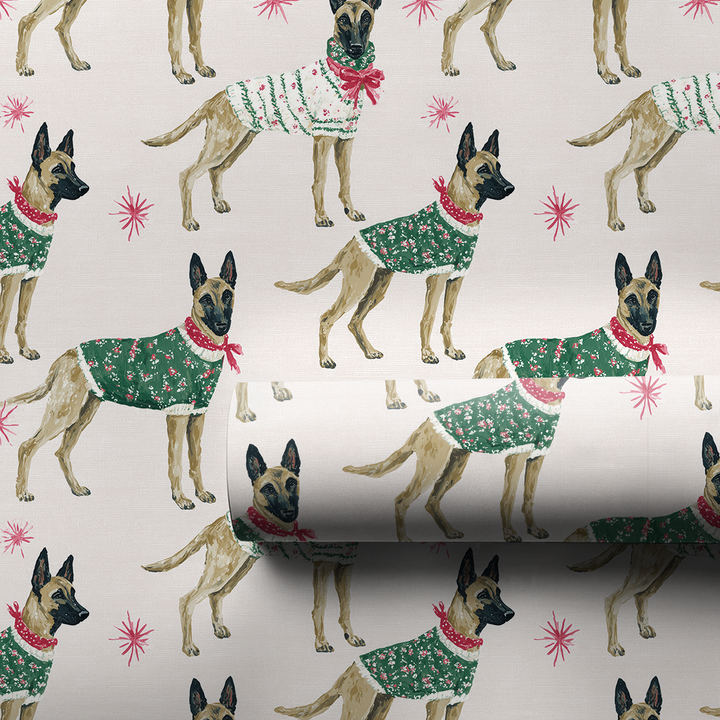 Malinois Holiday Best