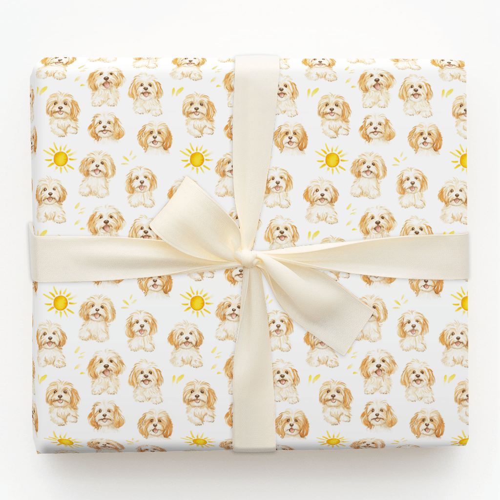 Sunny Day with the Cavapoos - Wrapping Paper - Aspen & Arlo