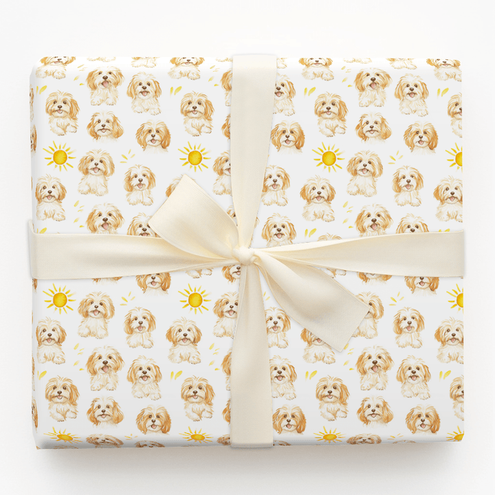 Sunny Day with the Cavapoos - Wrapping Paper - Aspen & Arlo