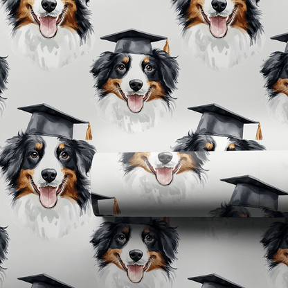 Australian Shepherd Graduate - Wrapping Paper - Aspen & Arlo