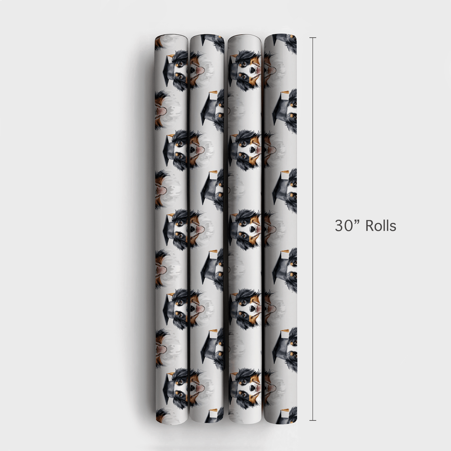 Australian Shepherd Graduate - Wrapping Paper - Aspen & Arlo