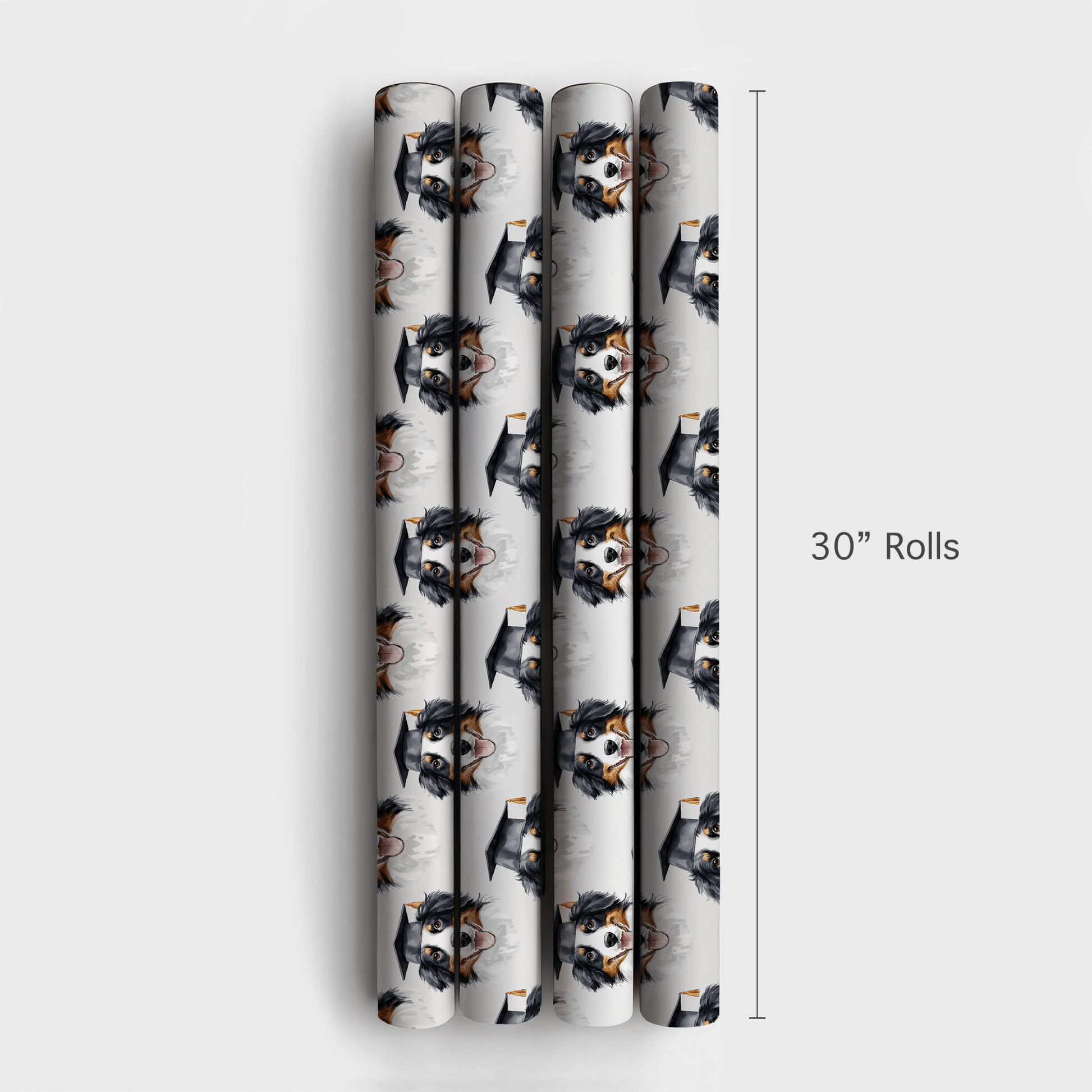 Australian Shepherd Graduate - Wrapping Paper - Aspen & Arlo