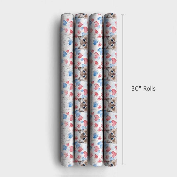 Purr and Paws - Wrapping Paper - Aspen & Arlo