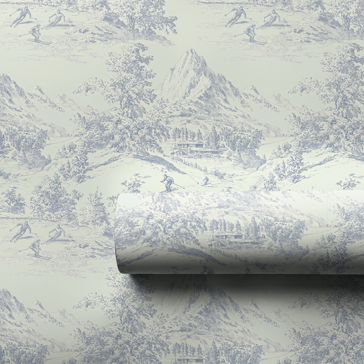 Blue Ski Toile