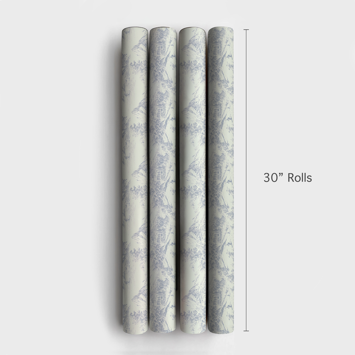 Blue Ski Toile