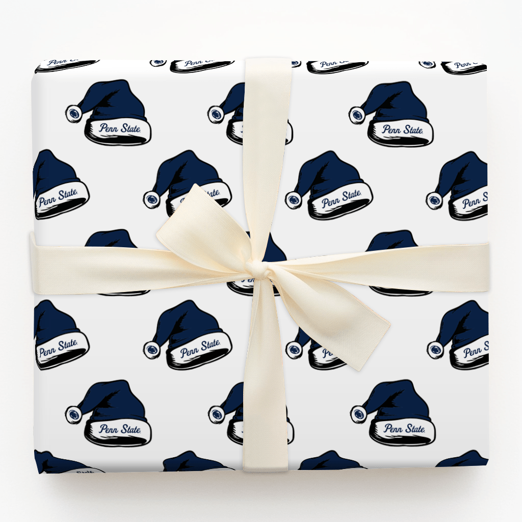 Santa Roars Blue - Wrapping Paper - Aspen & Arlo
