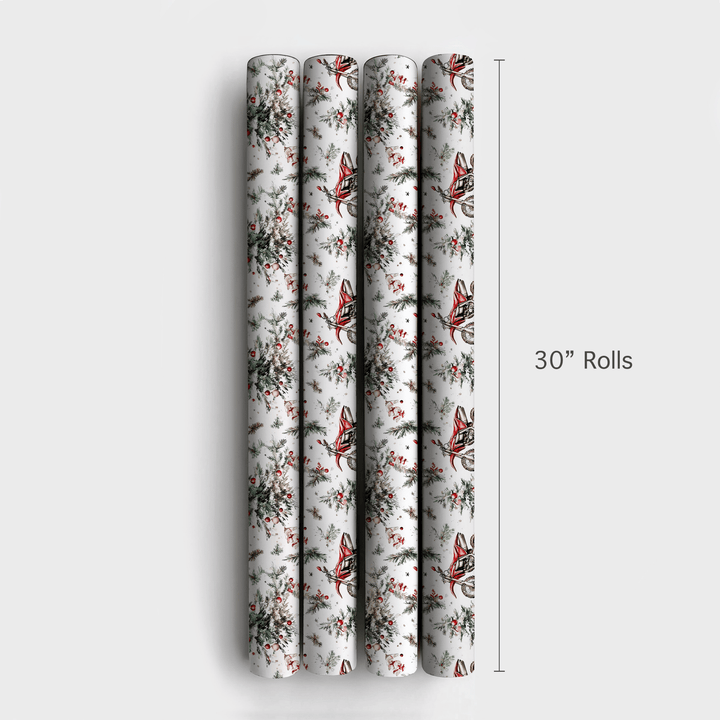 Speed Sleigh - Wrapping Paper - Aspen & Arlo