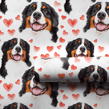 Bernese Mountain Dog Valentine - Wrapping Paper - Aspen & Arlo