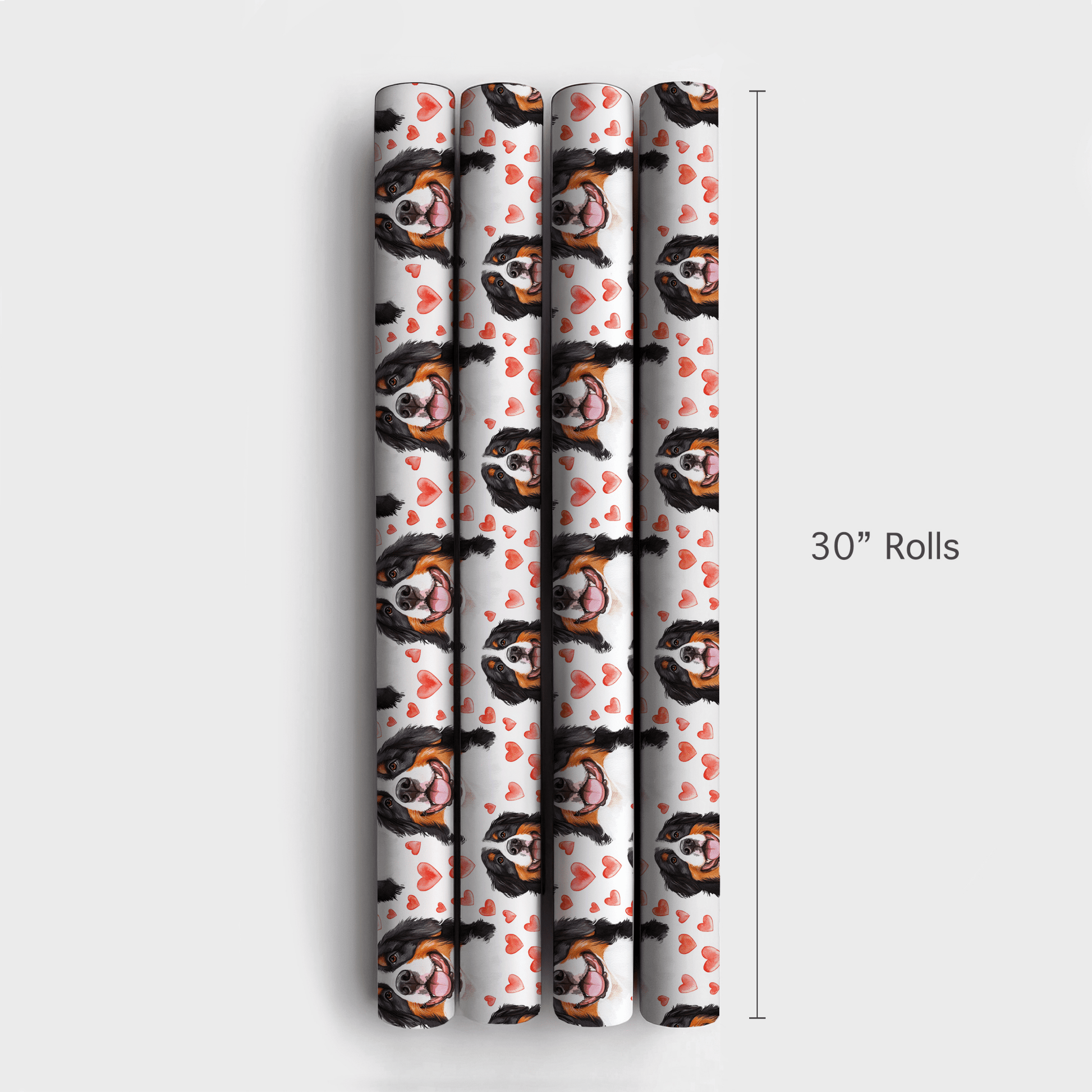 Bernese Mountain Dog Valentine - Wrapping Paper - Aspen & Arlo