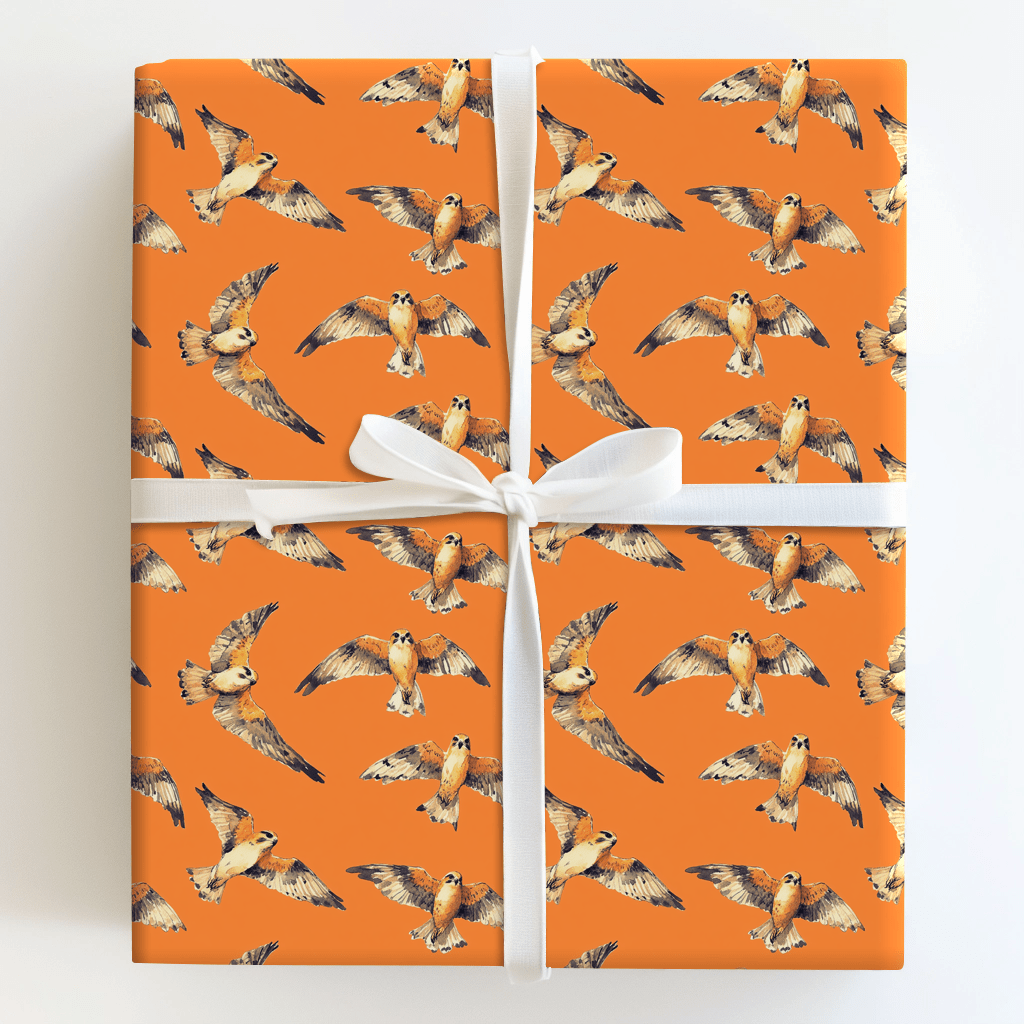 Take To The Sky - Wrapping Paper - Aspen & Arlo