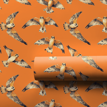 Take To The Sky - Wrapping Paper - Aspen & Arlo