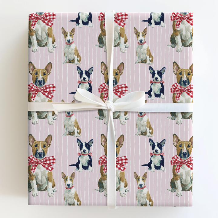 Bull Terrier Gingham Bows