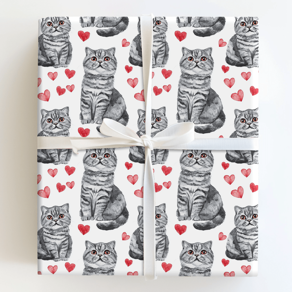Scottish Fold Valentine - Wrapping Paper - Aspen & Arlo
