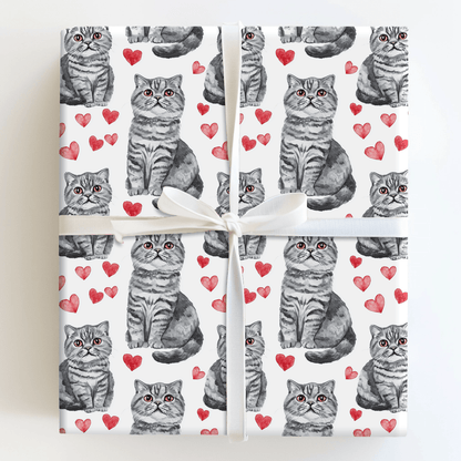 Scottish Fold Valentine - Wrapping Paper - Aspen & Arlo