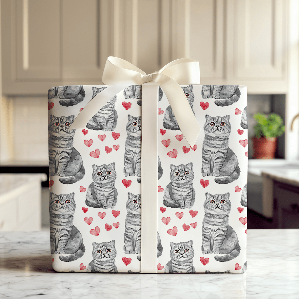 Scottish Fold Valentine - Wrapping Paper - Aspen & Arlo