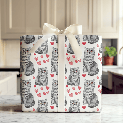 Scottish Fold Valentine - Wrapping Paper - Aspen & Arlo
