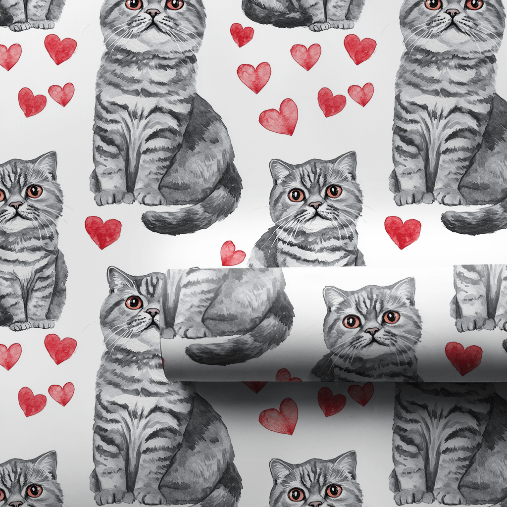 Scottish Fold Valentine - Wrapping Paper - Aspen & Arlo