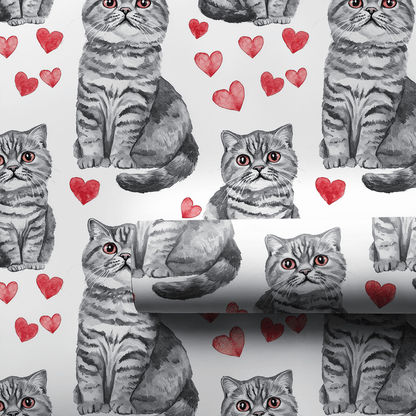 Scottish Fold Valentine - Wrapping Paper - Aspen & Arlo