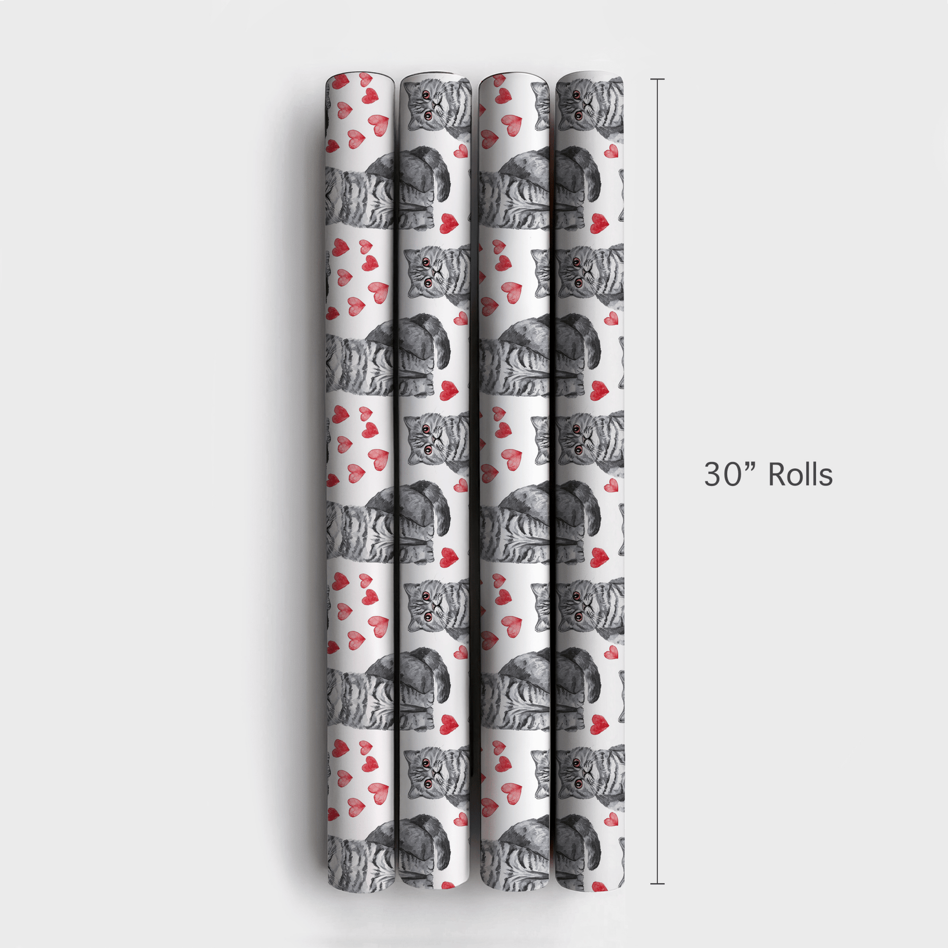 Scottish Fold Valentine - Wrapping Paper - Aspen & Arlo