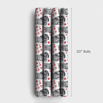 Scottish Fold Valentine - Wrapping Paper - Aspen & Arlo
