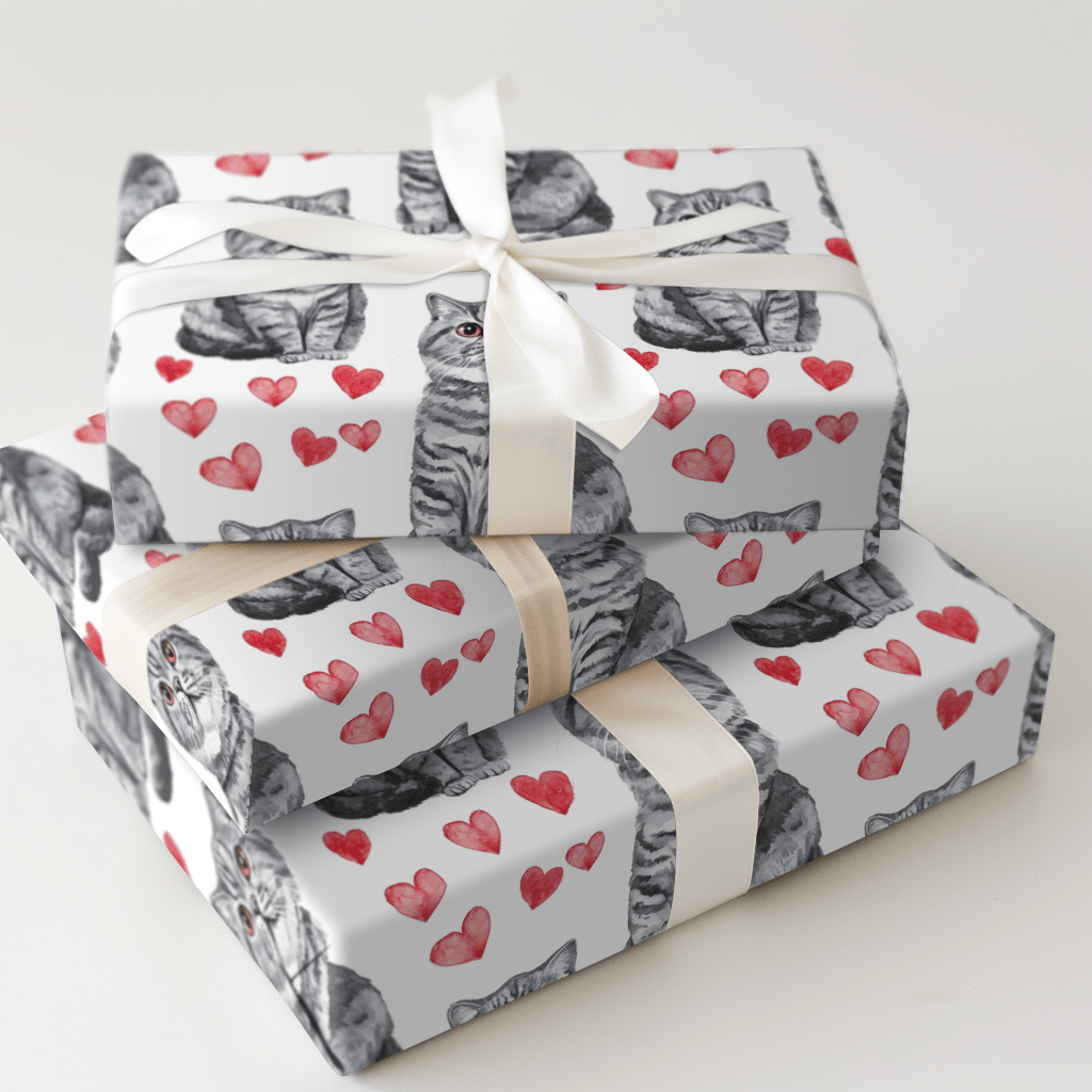 Scottish Fold Valentine - Wrapping Paper - Aspen & Arlo