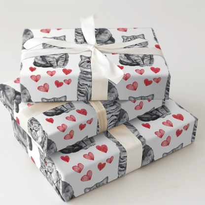 Scottish Fold Valentine - Wrapping Paper - Aspen & Arlo
