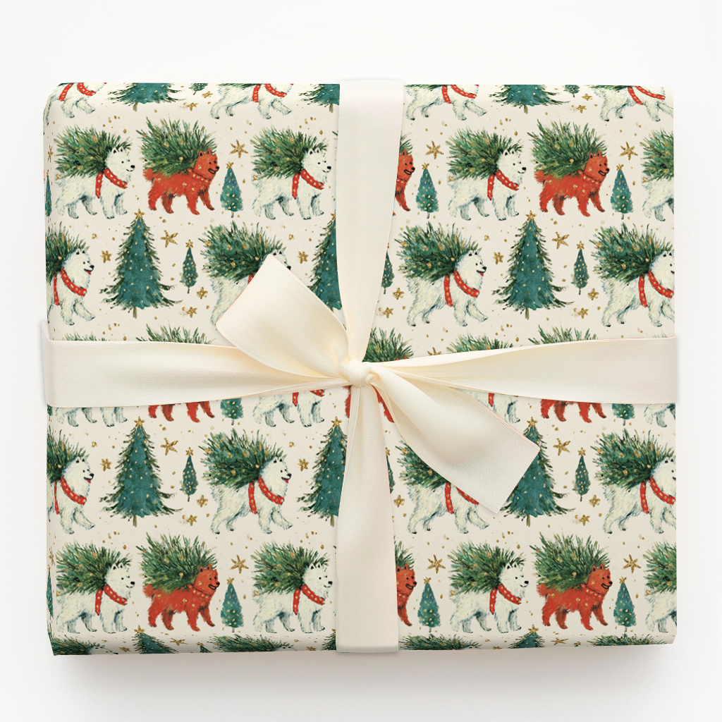 Santa Samoyeds