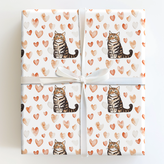 American Shorthair Valentine