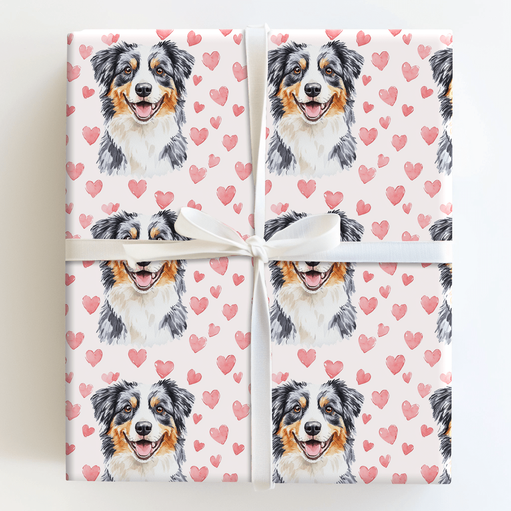 Australian Shepherd Valentine - Wrapping Paper - Aspen & Arlo
