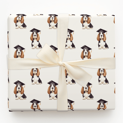 Basset Hound Graduate - Wrapping Paper - Aspen & Arlo