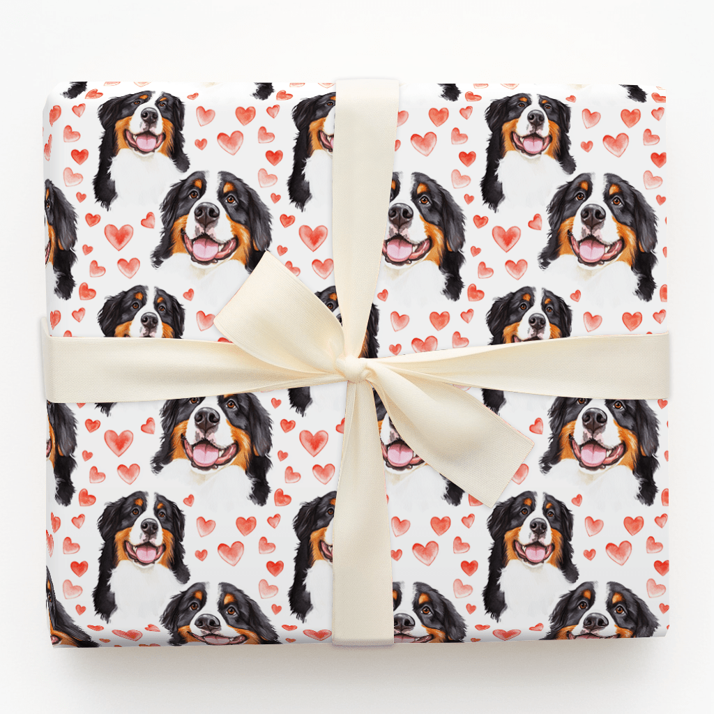 Bernese Mountain Dog Valentine - Wrapping Paper - Aspen & Arlo