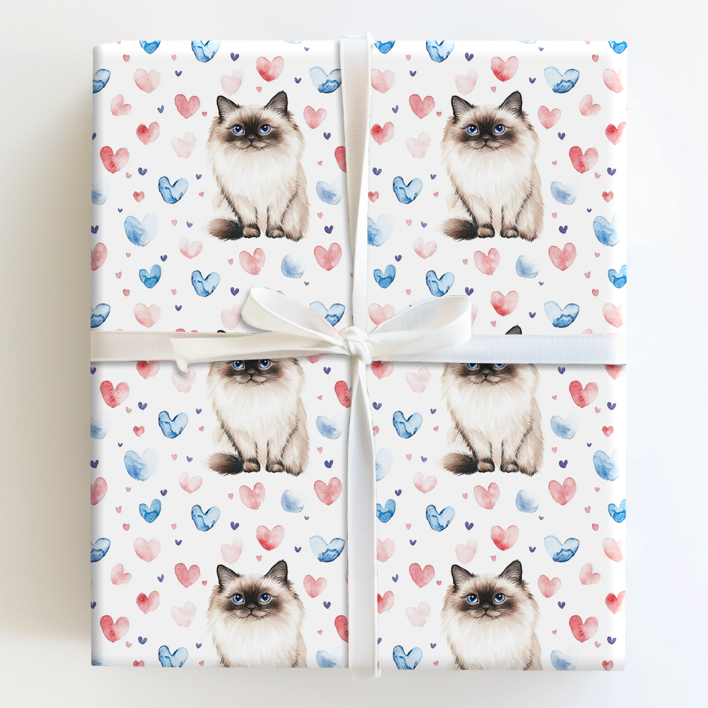 Birman Valentine