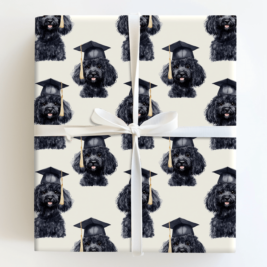 Black Poodle Graduate - Wrapping Paper - Aspen & Arlo