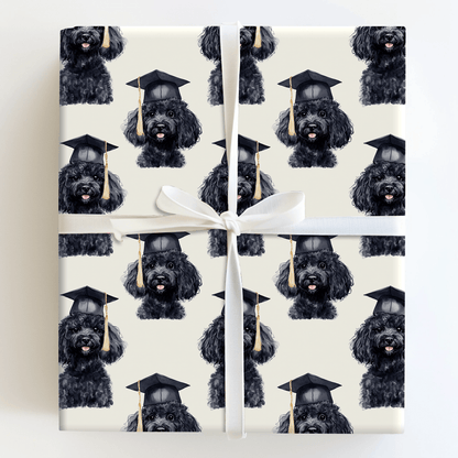 Black Poodle Graduate - Wrapping Paper - Aspen & Arlo
