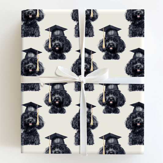 Black Poodle Graduate - Wrapping Paper - Aspen & Arlo