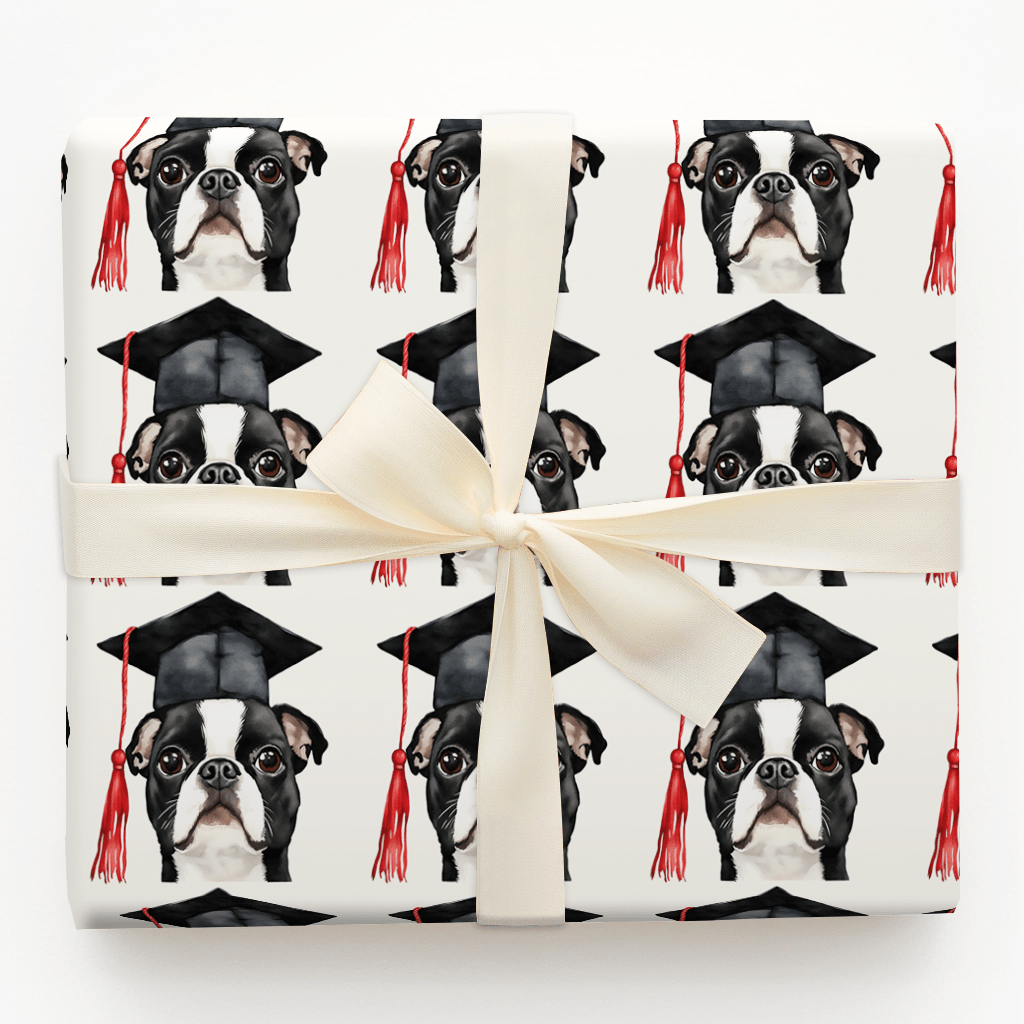 Boston Terrier Graduate - Wrapping Paper - Aspen & Arlo