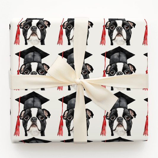 Boston Terrier Graduate - Wrapping Paper - Aspen & Arlo