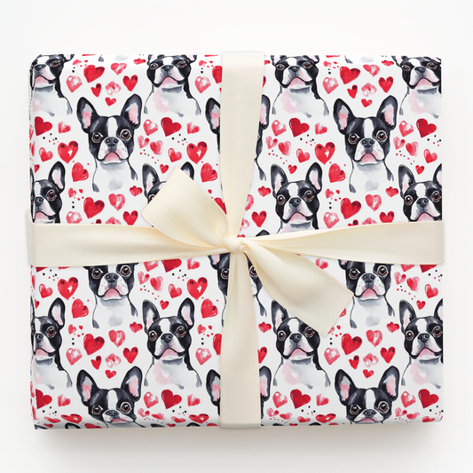 Boston Terrier Valentine