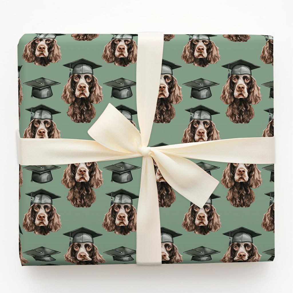 Boykin Spaniel Graduate