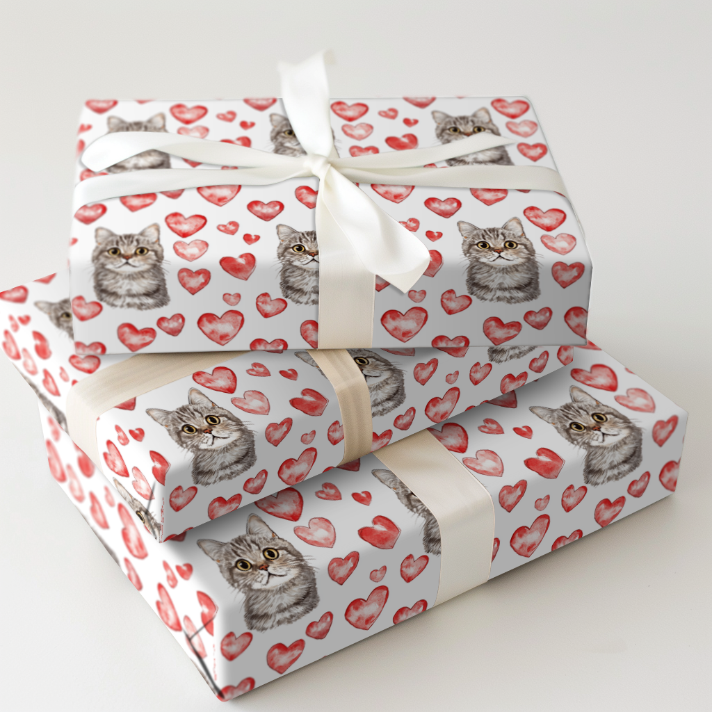 British Shorthair Valentine