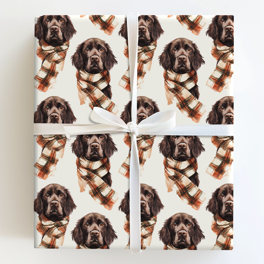 Bundle Up with the Boykin Spaniel