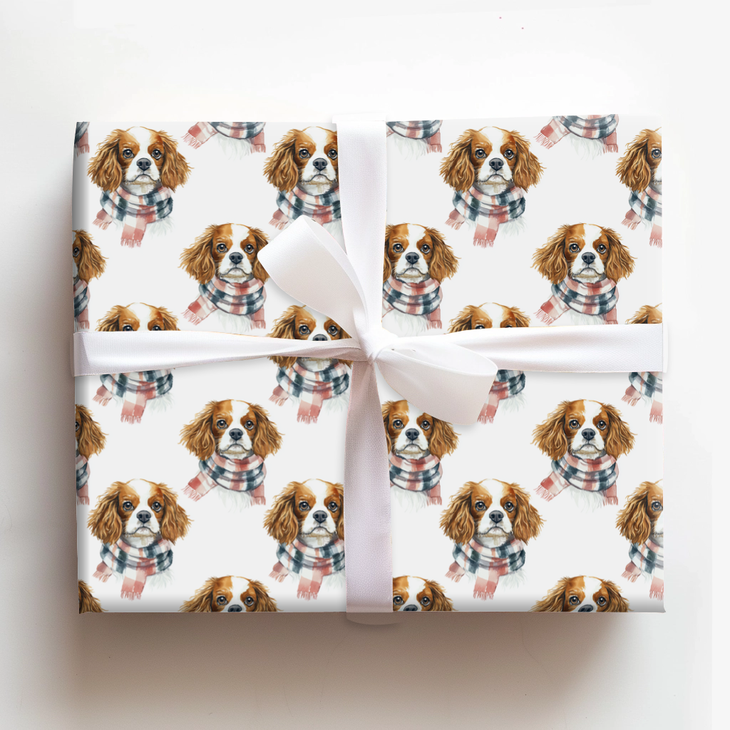 Bundle Up with the Cavalier King Charles