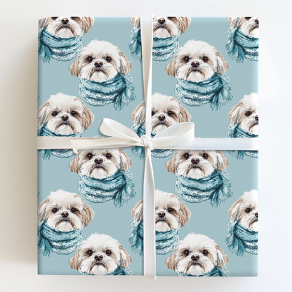 Bundle Up with the Shih Tzu