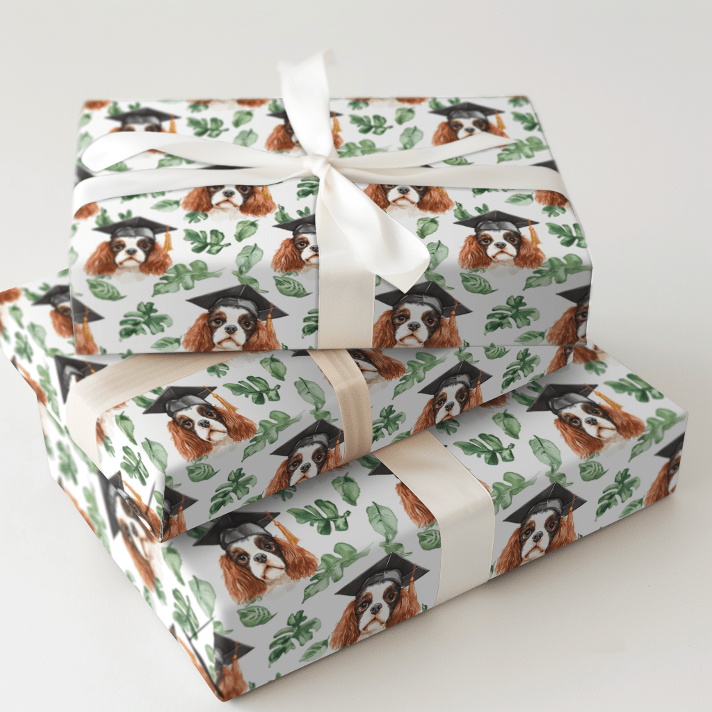 Cavalier King Charles Graduate - Wrapping Paper - Aspen & Arlo