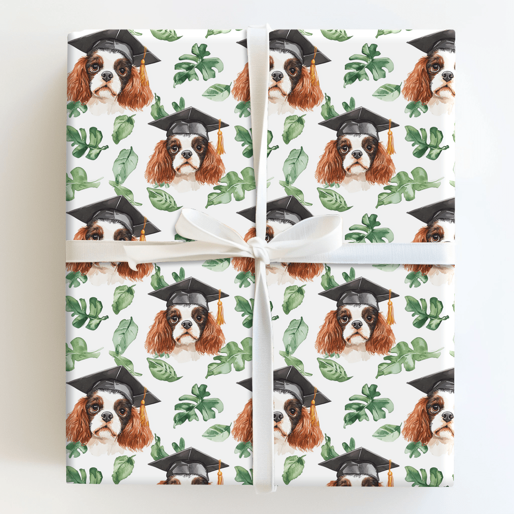 Cavalier King Charles Graduate - Wrapping Paper - Aspen & Arlo