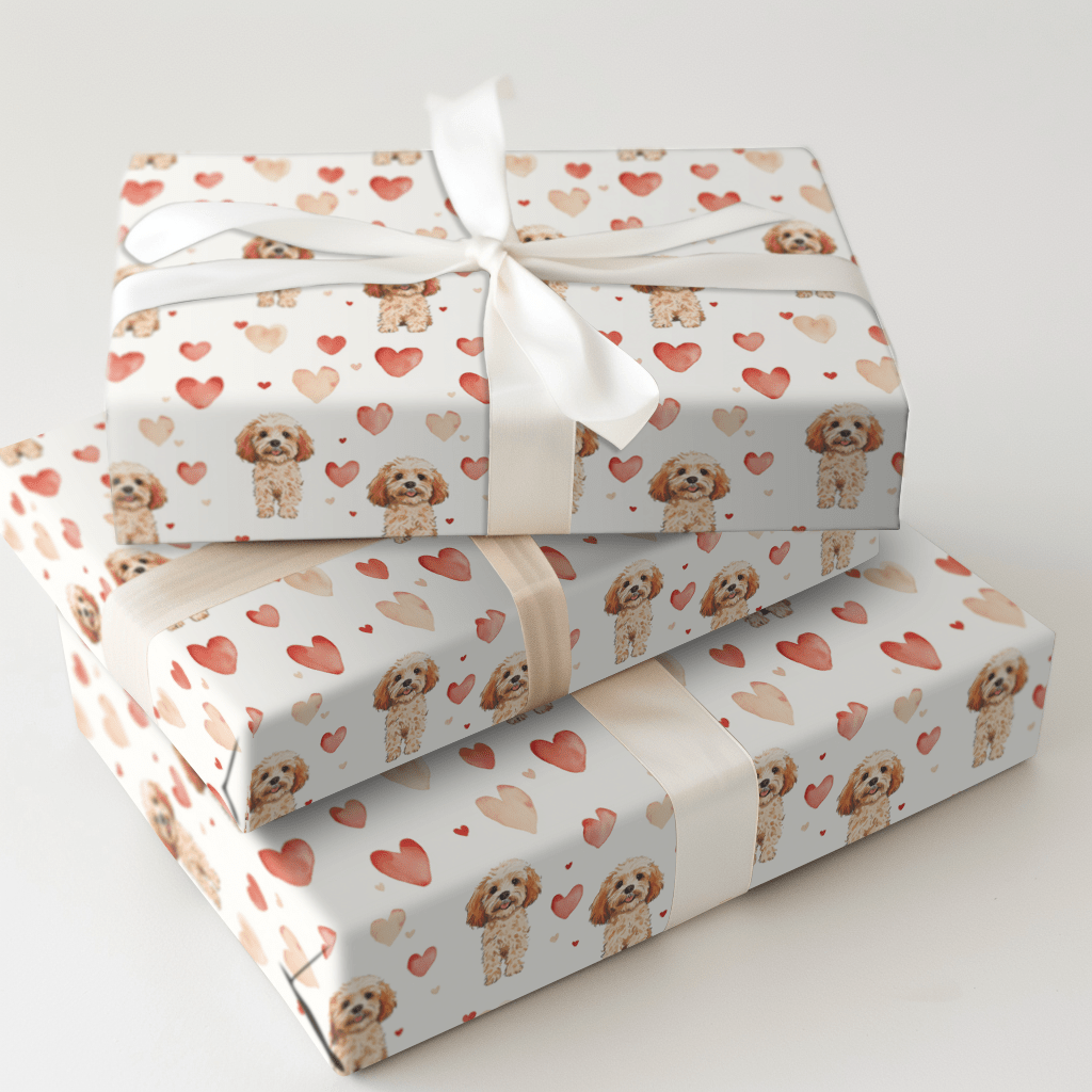 Cavapoo Valentine - Wrapping Paper - Aspen & Arlo