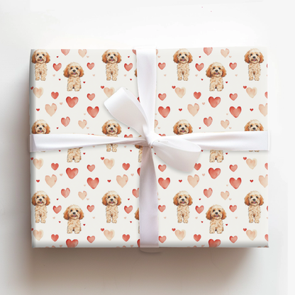 Cavapoo Valentine