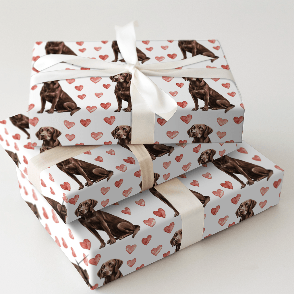 Chocolate Lab Valentine - Wrapping Paper - Aspen & Arlo